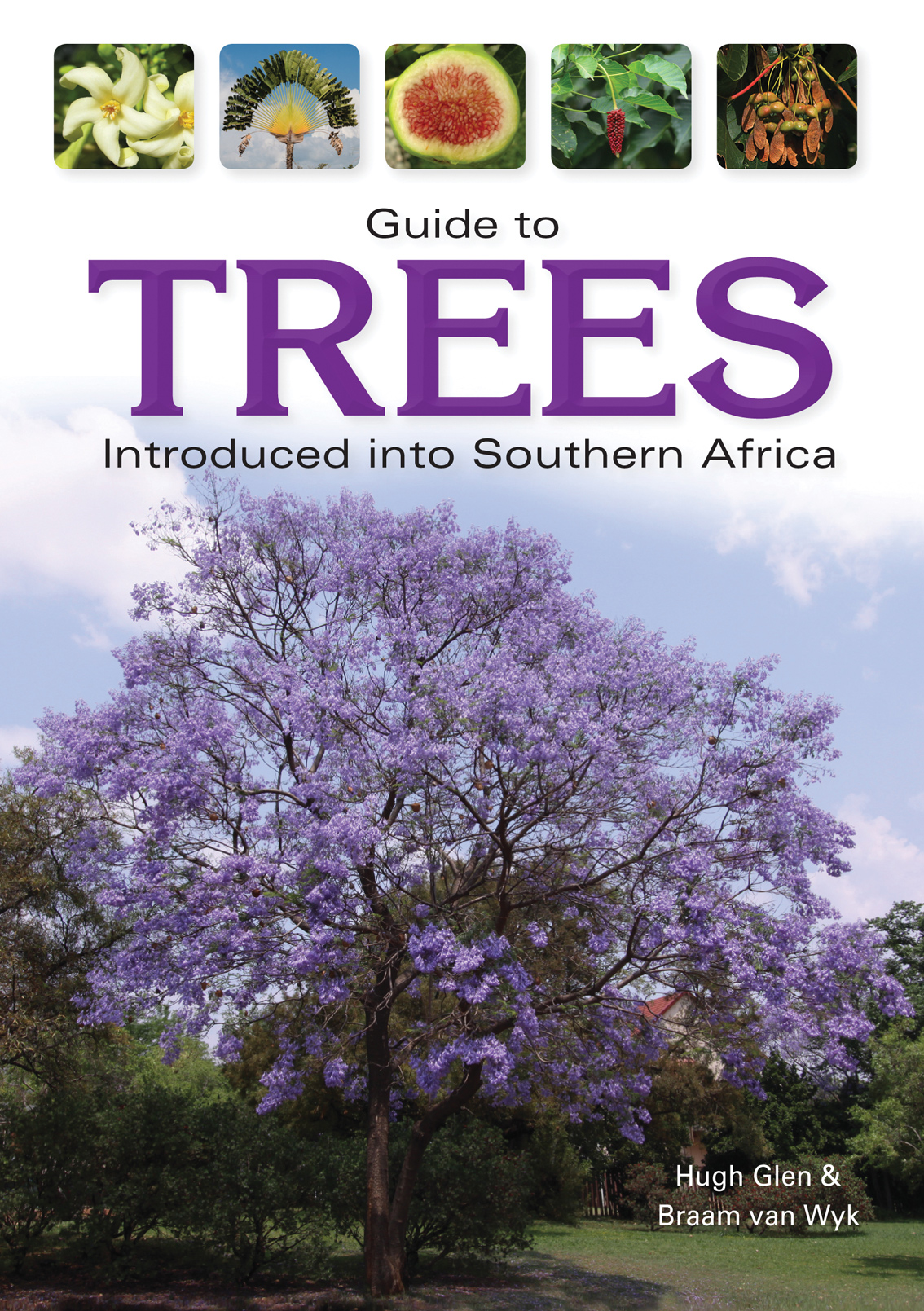 Guide To Trees Introduced Into Southern Africa Penguin